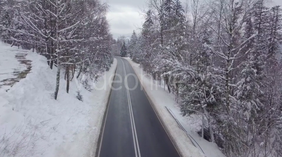 平静雪树间的道路视频素材（2194）