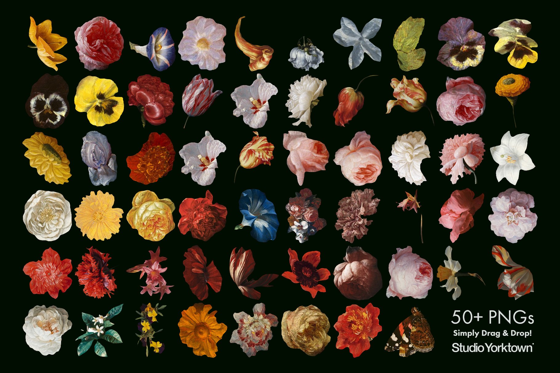 100多种复古花卉古典艺术品图像集合 Kurohana - Moody Florals Collection（3757）图层云