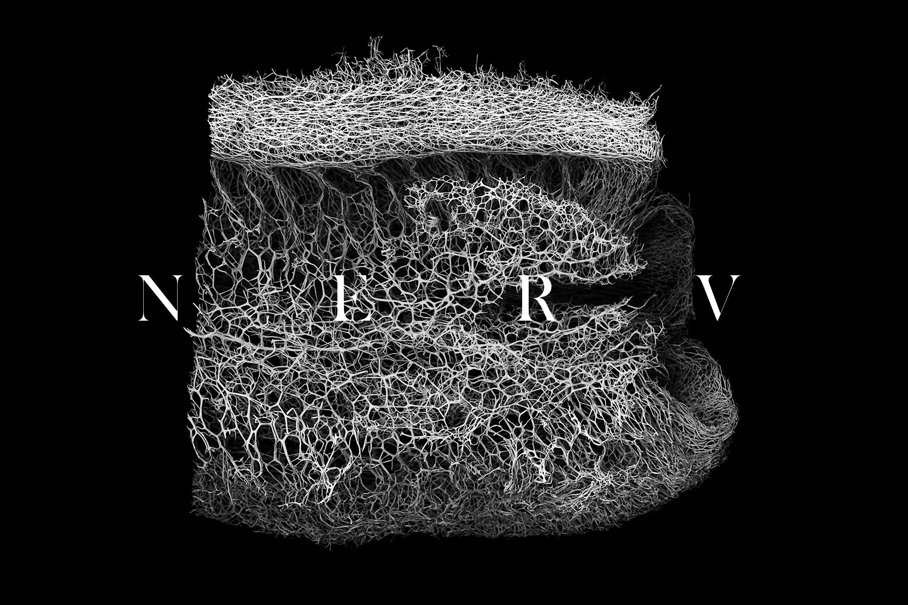 高级质感反射神经纹理PNG套装 30 NERV Textures vol.1（4016）