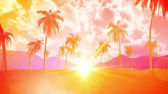 五颜六色的棕榈滩背景视频素材（4252）图层云