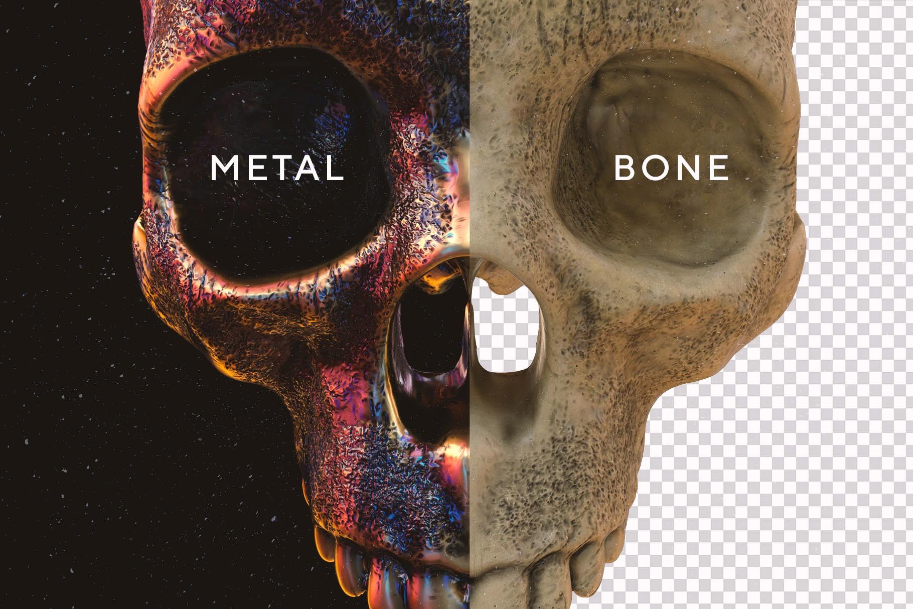 Skulls 108个高分辨率头骨逼真骨骼金属纹理PNG素材（4280）图层云