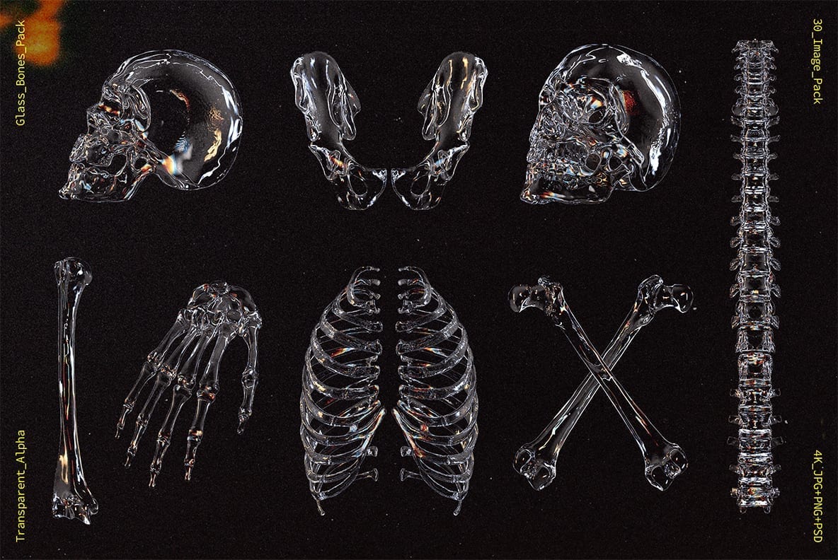 Glass Bones 新潮酸性透明玻璃材美学人体骨骼设计素材（4442）图层云1