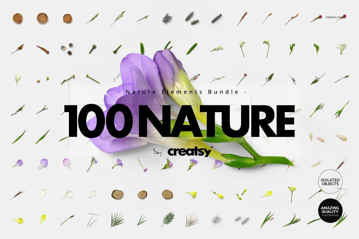 100绿色花卉自然植物元素套装（4906）图层云