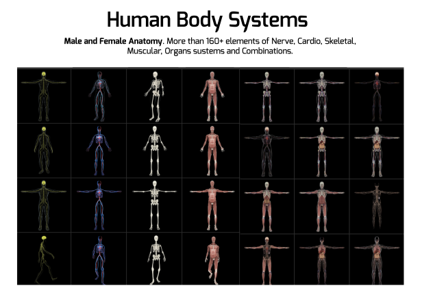 AE插件：700多个黑暗身体解剖学DNA细胞背景内脏器官场景医疗构造器（5935）图层云