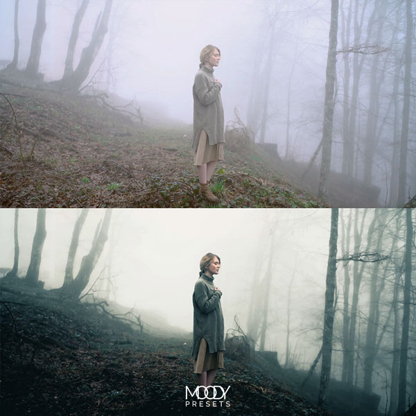 Moody LUTs 111个真实电影仿真颜色分级预设LUTS Cinematic LUTs by Moody Presets（7167）图层云14