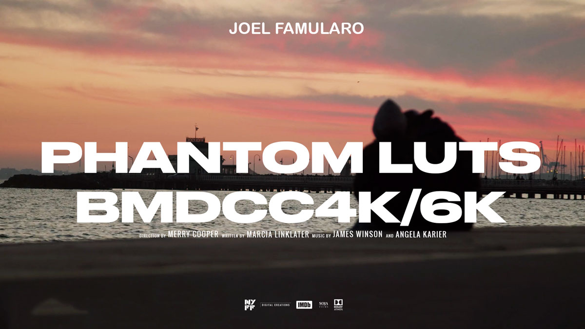 Phantom LUTs - BMPCC4K/6K 真实胶片电影色彩模拟调色预设 Joel Famularo Phantom LUTs for BMDCC4K/6K（7450）