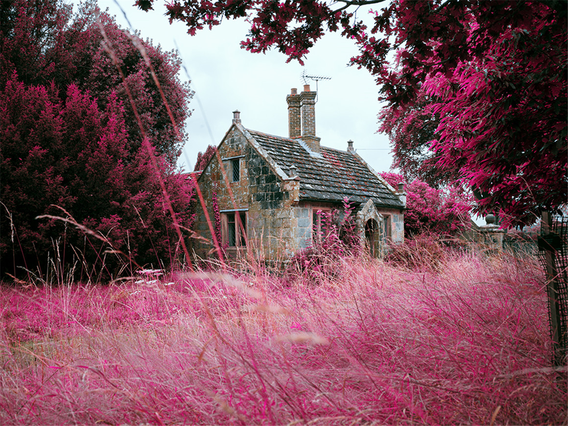 柯达胶片航空铬LR预设包 RNI All Films 5 - Pro - Aerochrome（7744）图层云5