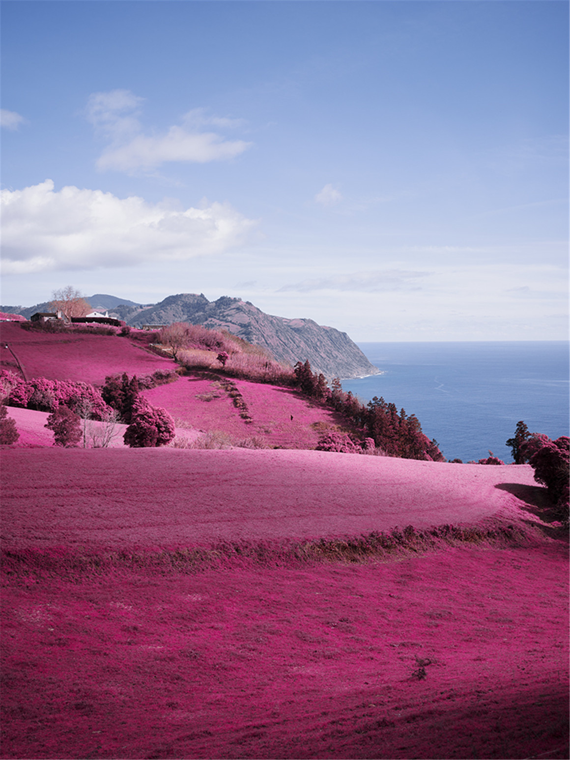 柯达胶片航空铬LR预设包 RNI All Films 5 - Pro - Aerochrome（7744）图层云3