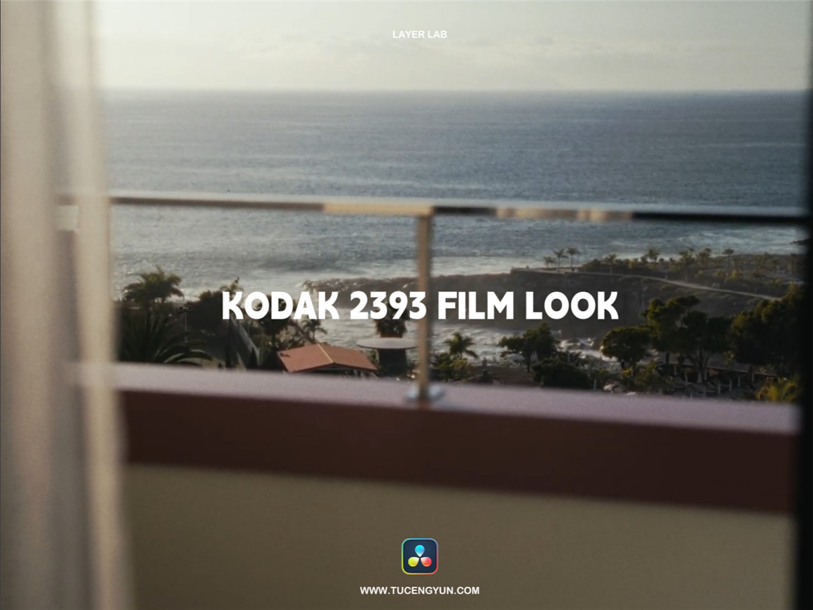 复古电影美感柯达2393胶片模拟达芬奇调色节点 Kodak 2393 Cinematic PowerGrade（7770）图层云3