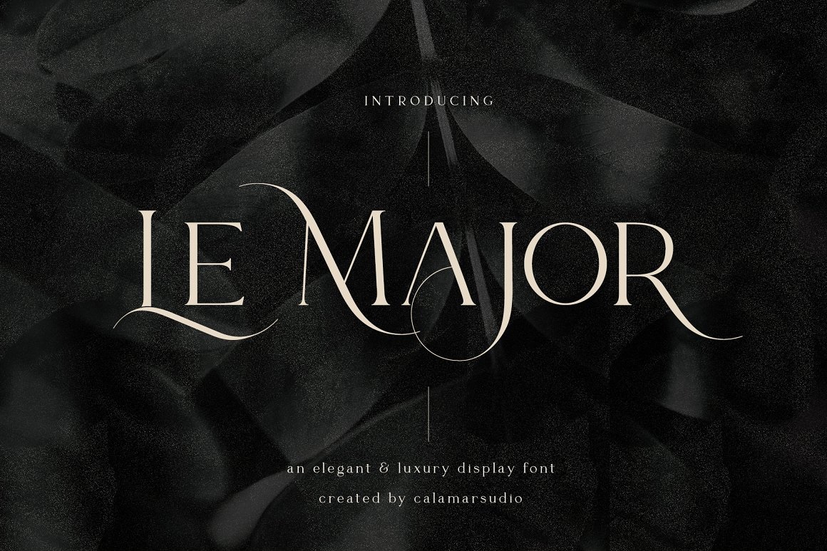 英文字体：时尚优雅奢华杂志婚礼海报标题衬线Logo英文艺术字体设计素材 Le Major Font（8050）