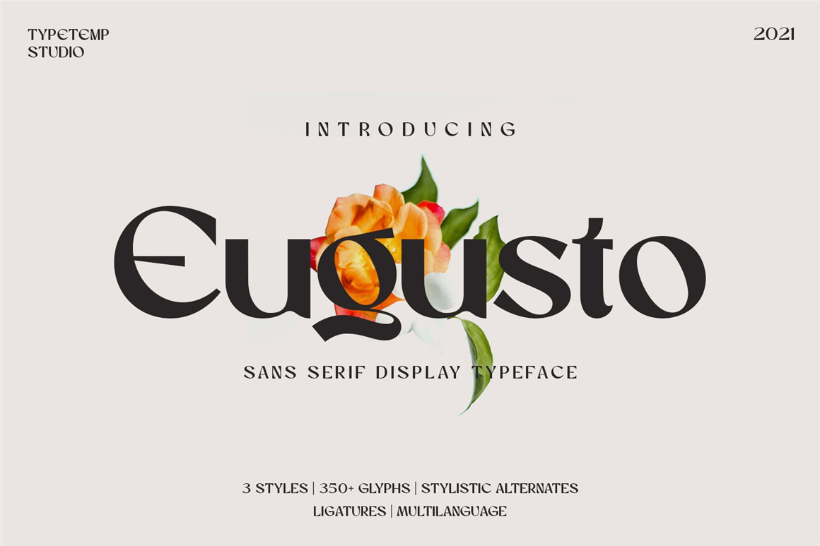 英文字体：现代时尚优雅女性化品牌推广海报标题设计Logo英文字体素材包 Eugusto Display Typeface图层云