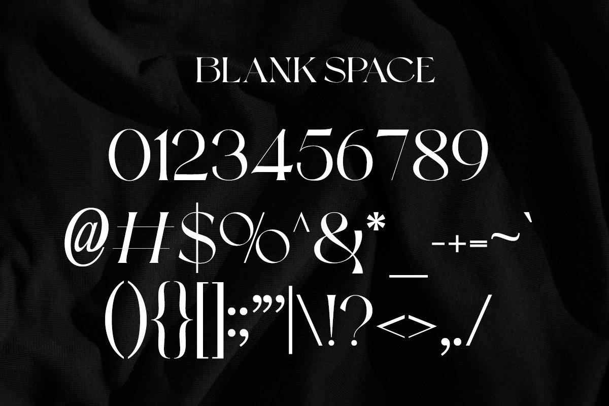 英文字体：现代复古杂志品牌广告设计无衬线字体 Blank Space | Modern Display（8262）图层云