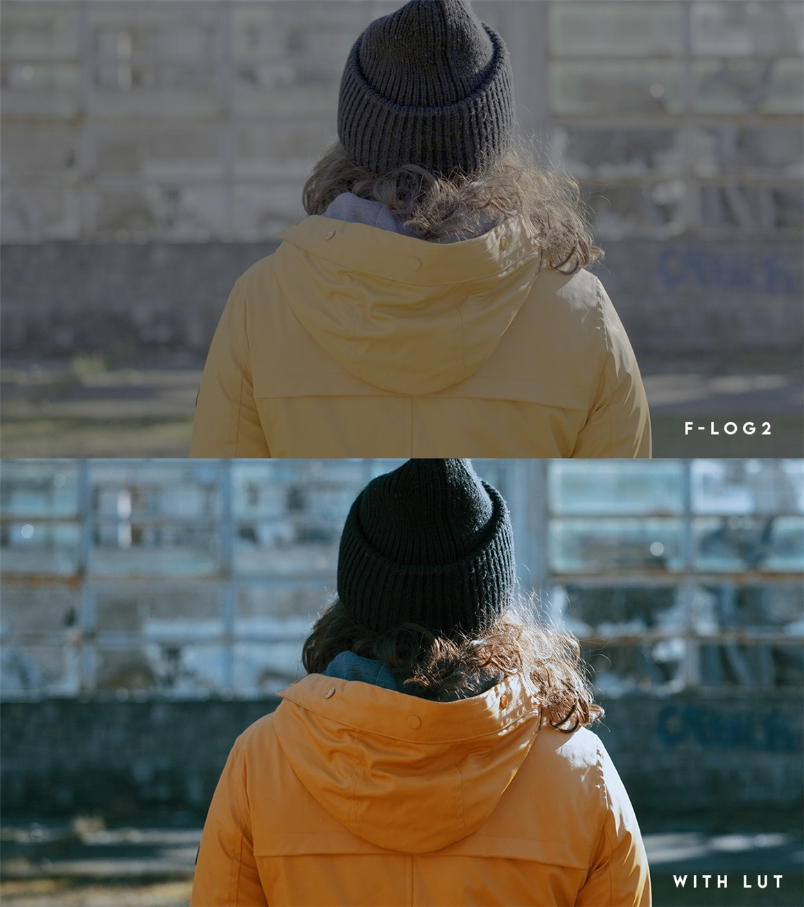 富士F-Log2下电影色彩调色LUT 支持Fujifilm XH2s，Fujifilm XH2或Fujifilm XT2（8292）图层云