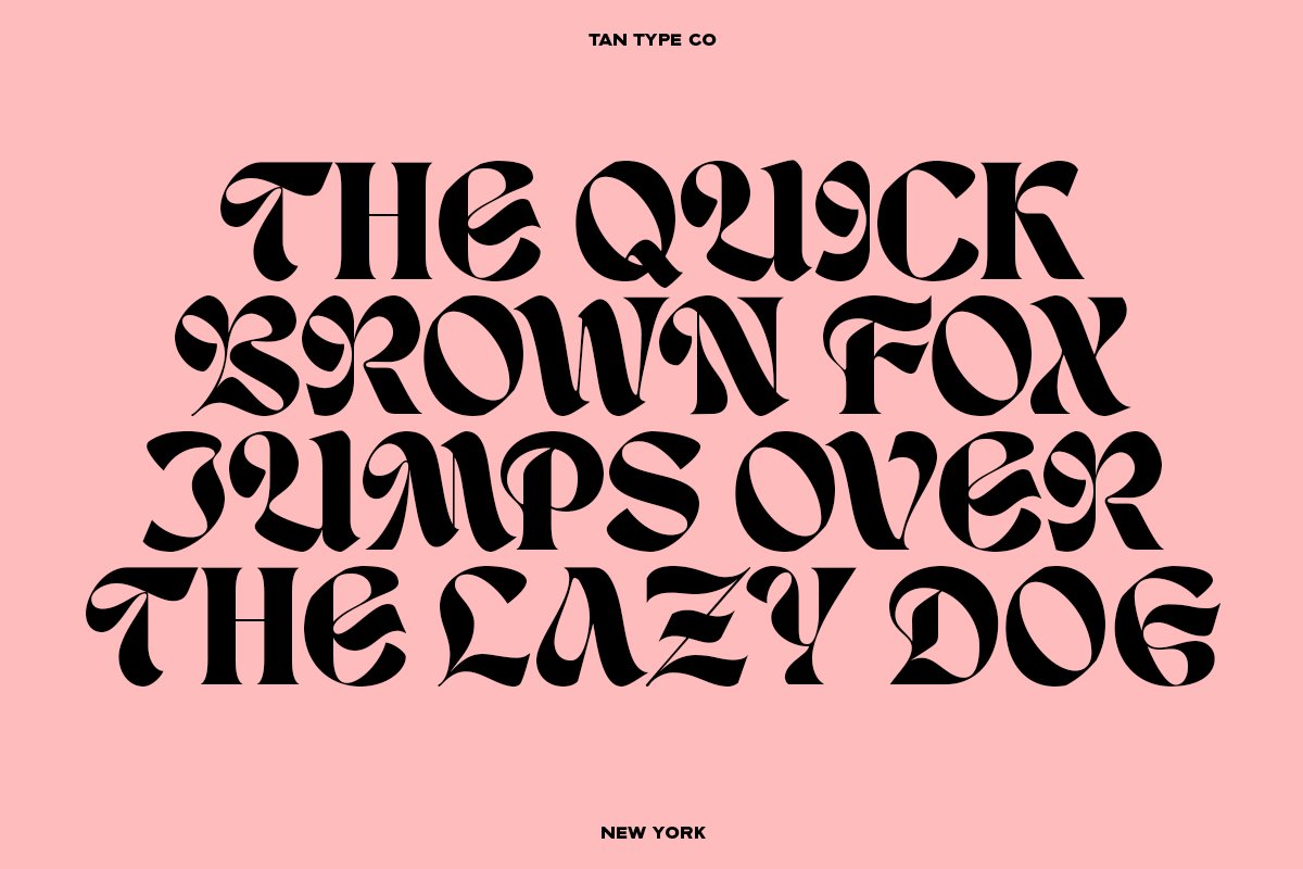 英文字体：复古时尚优雅杂志海报标题设计无衬线字体 TAN - NEW YORK（8596）图层云