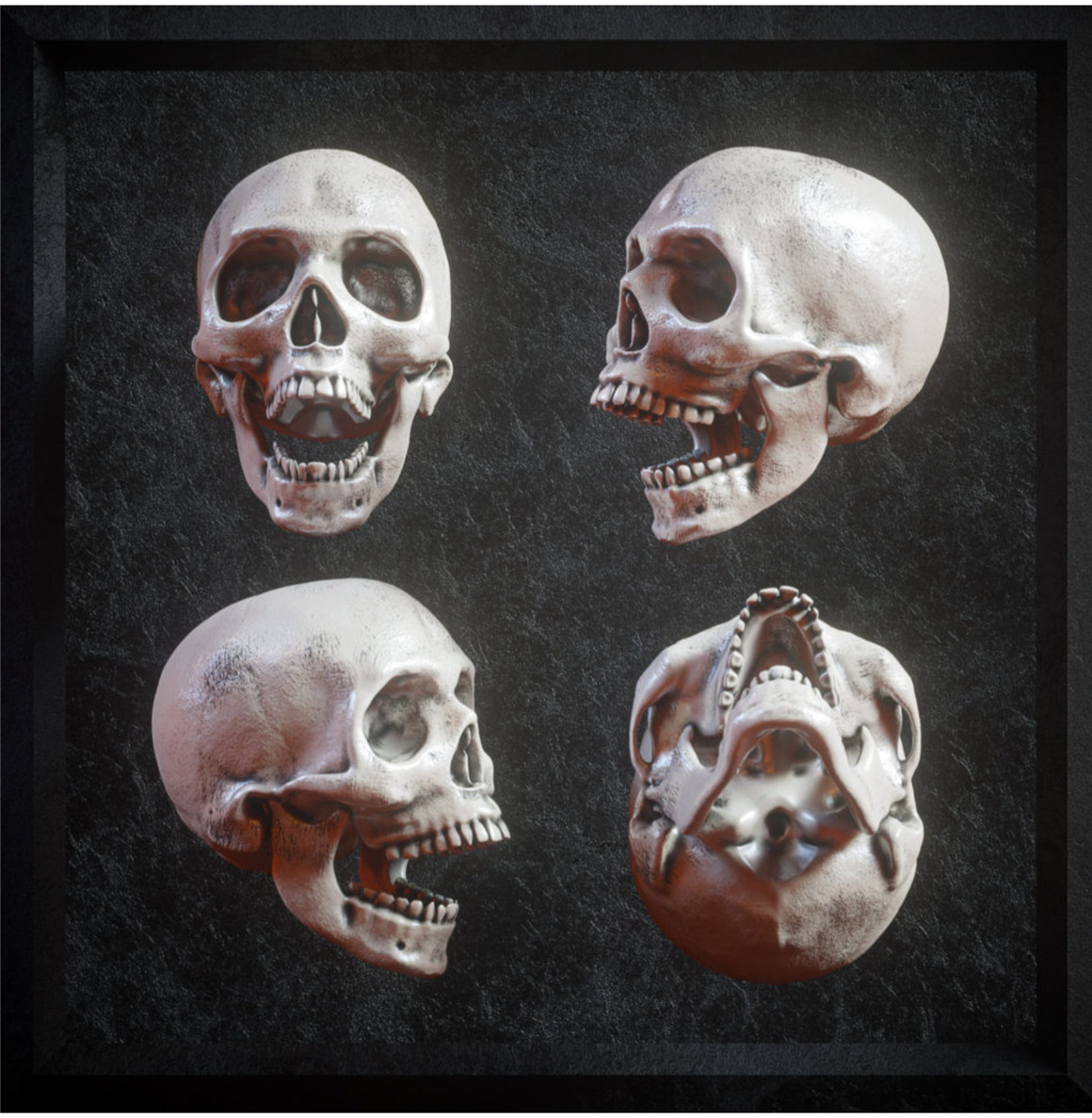 炫酷逼真3D人类头盖骨FBX模型素材 Billelis 3D Skull Model Pack （8816）图层云
