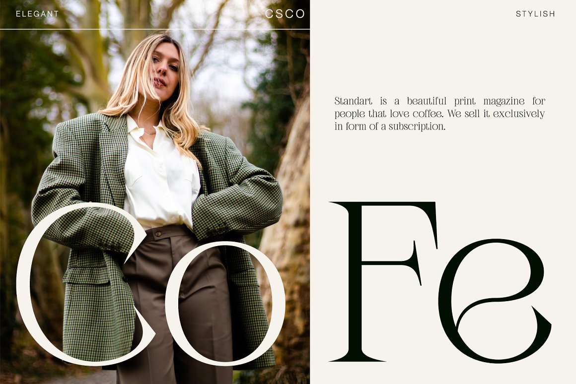 英文字体：奢华氛围品牌杂志标题LOGO徽标设计PSAI衬线字体安装包 Febila – Elegant Serif Font（8844）图层云