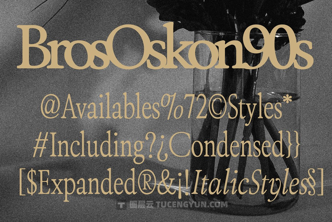 英文字体：90年代复古印刷优雅现代模拟衬线西文字体家族ZT Bros Oskon 90s – 72 Styles（9288）图层云