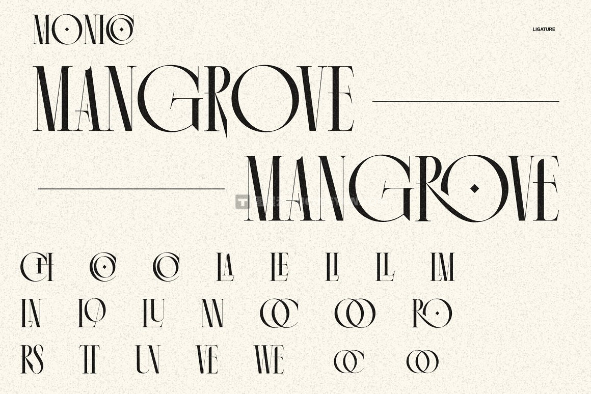 英文字体：复古优雅奢华浓缩杂志海报标题品牌LOGO设计PS衬线英文字体 Monico Display Font（9314）图层云