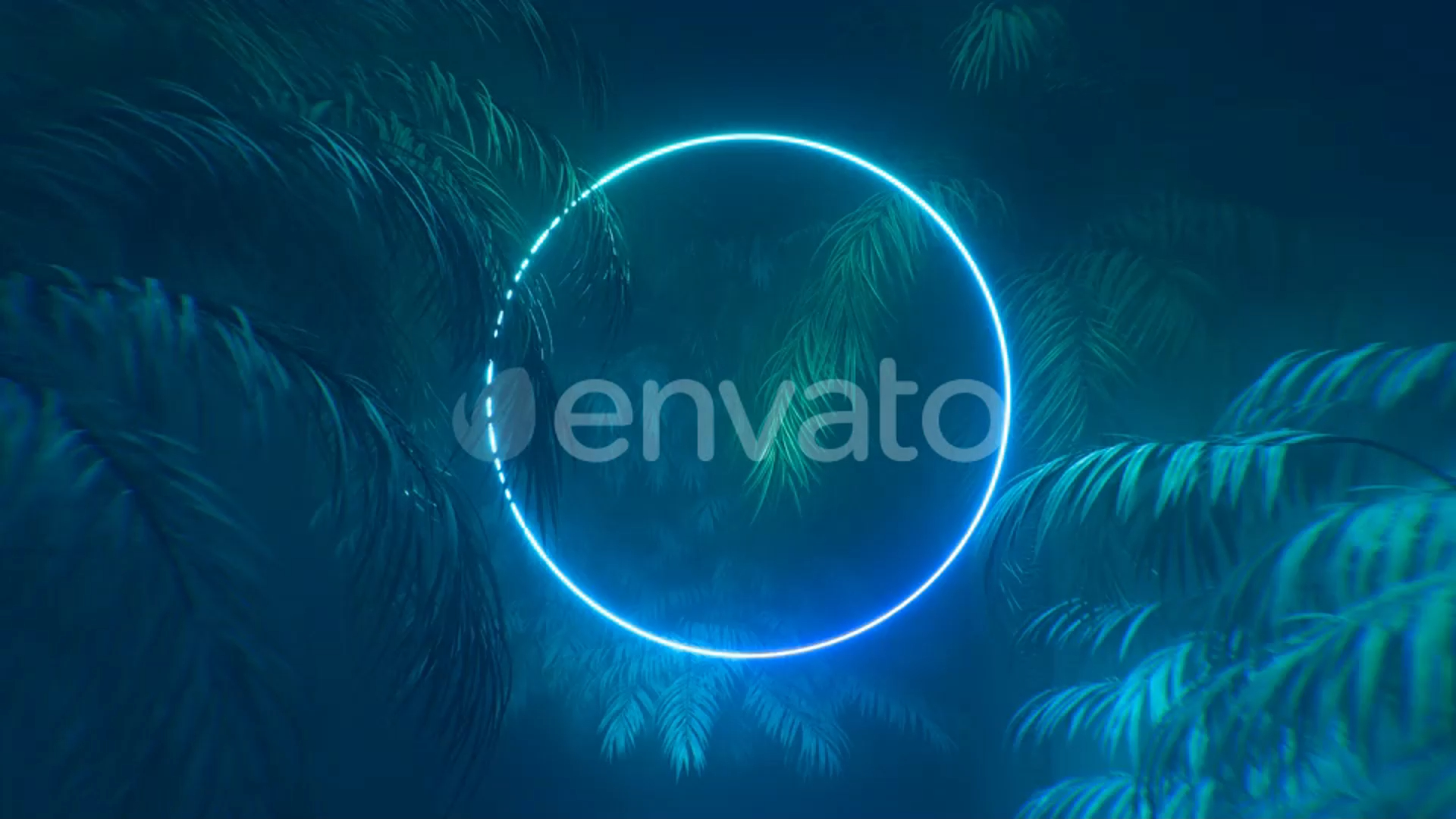 视频素材：霓虹灯发光的圆圈和棕榈树动画背景视频素材（9419）