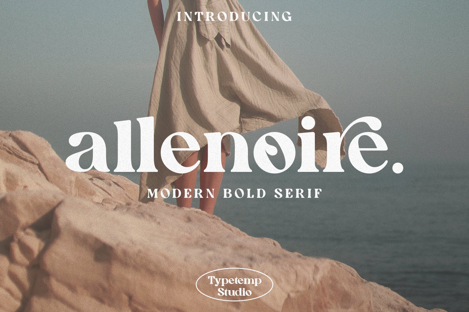 英文字体：现代时尚代复古优雅连字品牌衬线体LOGO海报排版衬线字体 Allenoire - Modern Bold Serif Font（9424）图层云