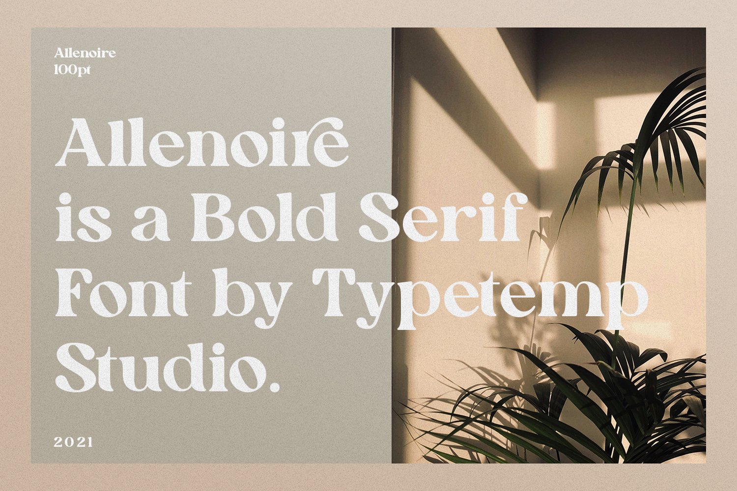 英文字体：现代时尚代复古优雅连字品牌衬线体LOGO海报排版衬线字体 Allenoire - Modern Bold Serif Font（9424）图层云