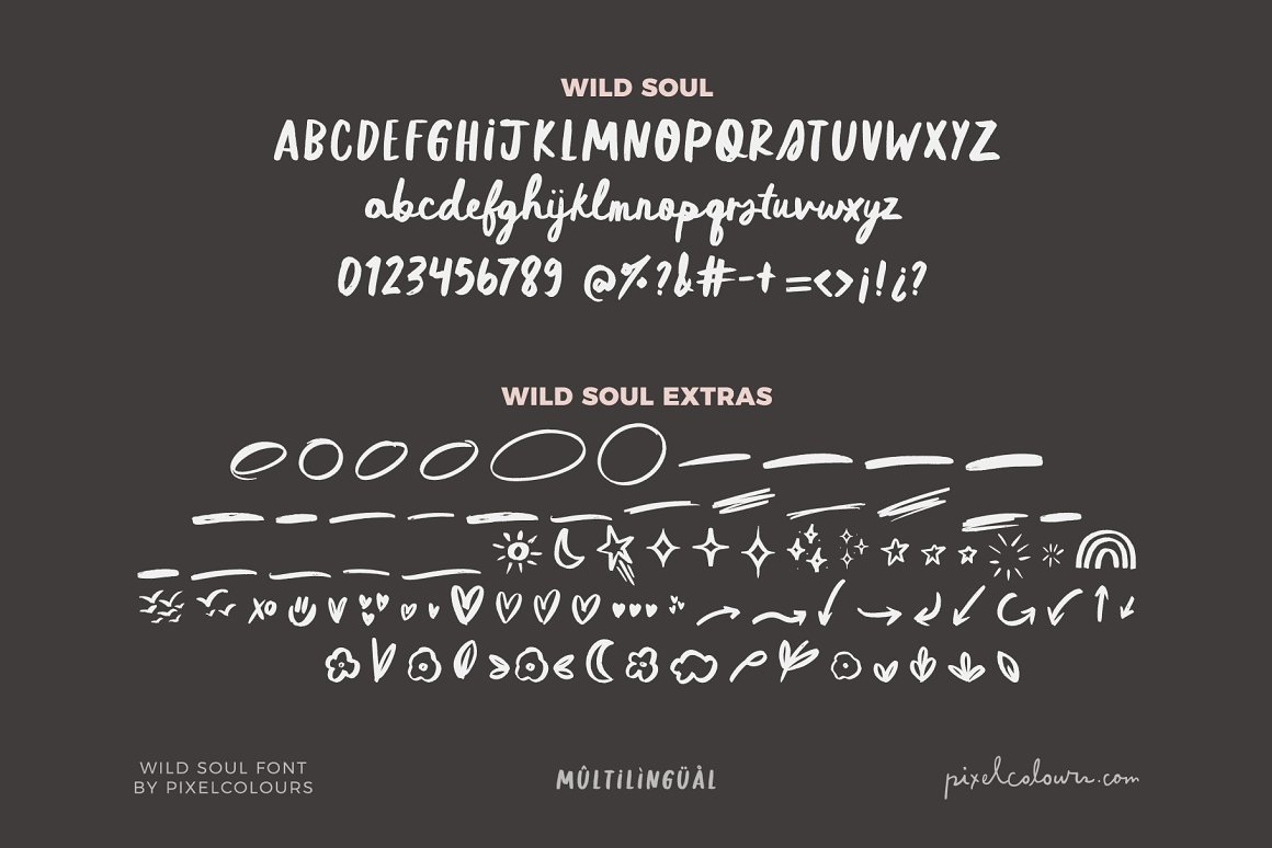 英文字体：复古涂鸦90年代街头手写海报标题logo排版西文字体 Script Brush Font Duo Wild Soul（9439）图层云