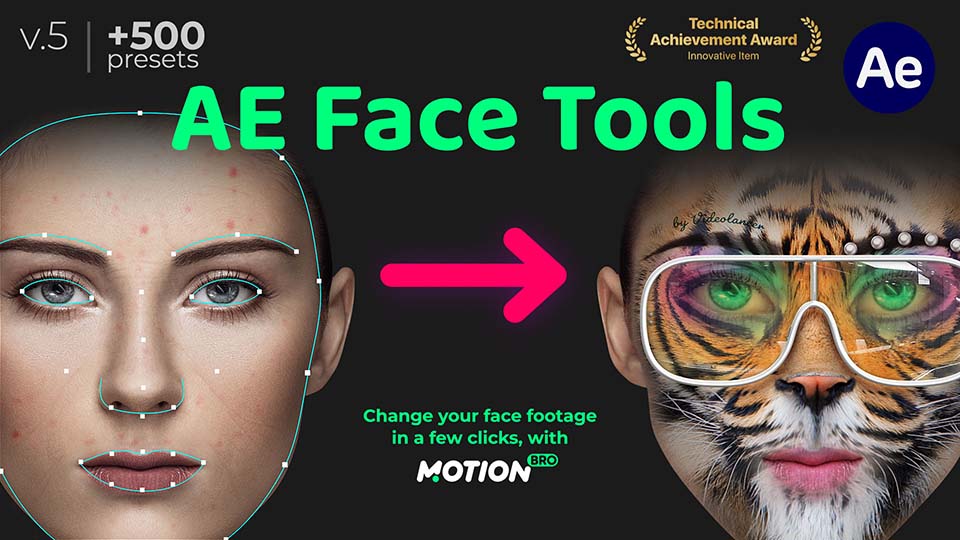 AE插件：人脸面部追踪贴图表情化妆美颜丑化换脸锁定变形特效预设工具 AE Face Tools V5.2版（9462）
