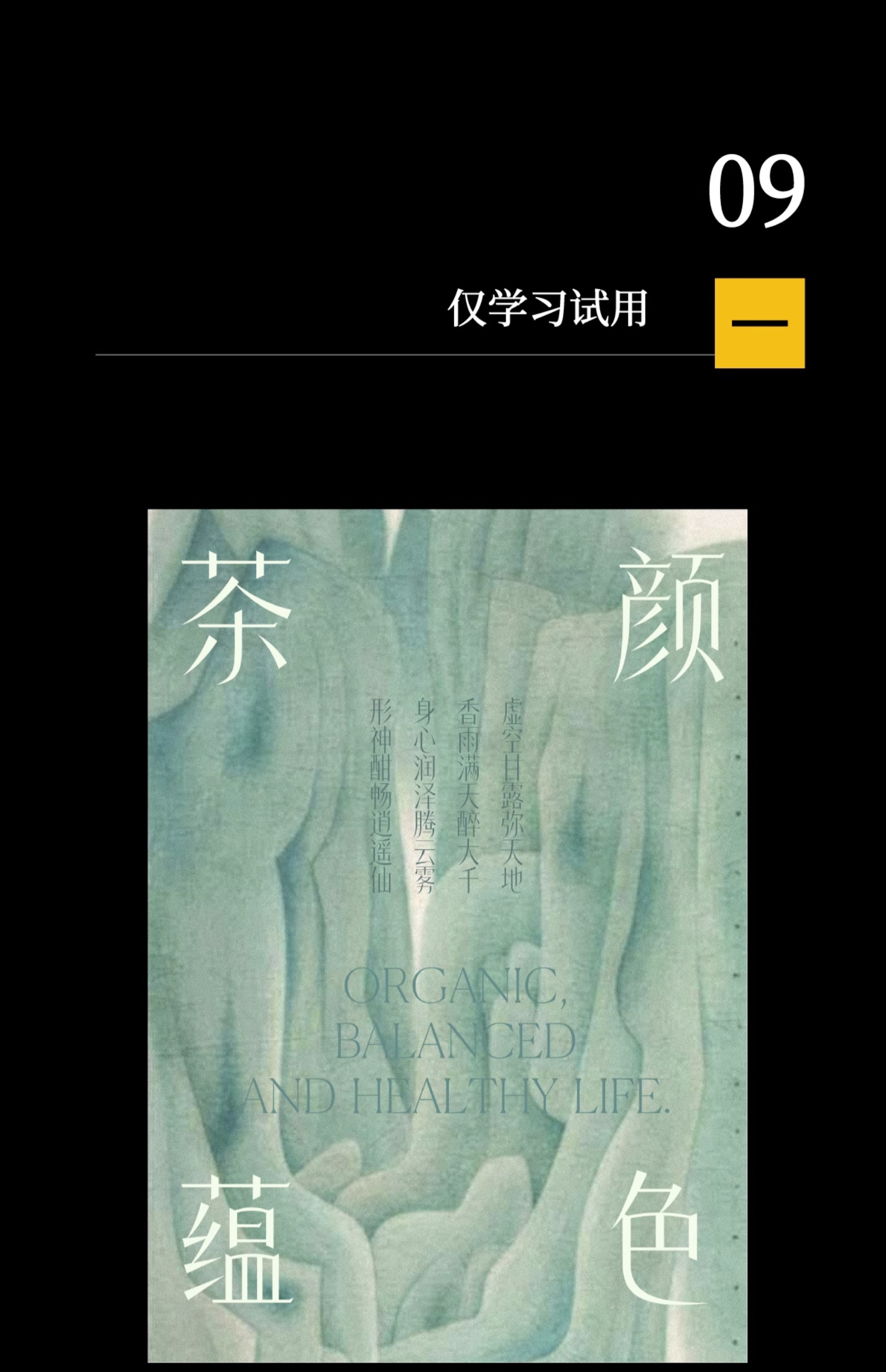 24个文艺古风宋体字体书籍展览海报排版视频剪辑中文字体（9803）图层云