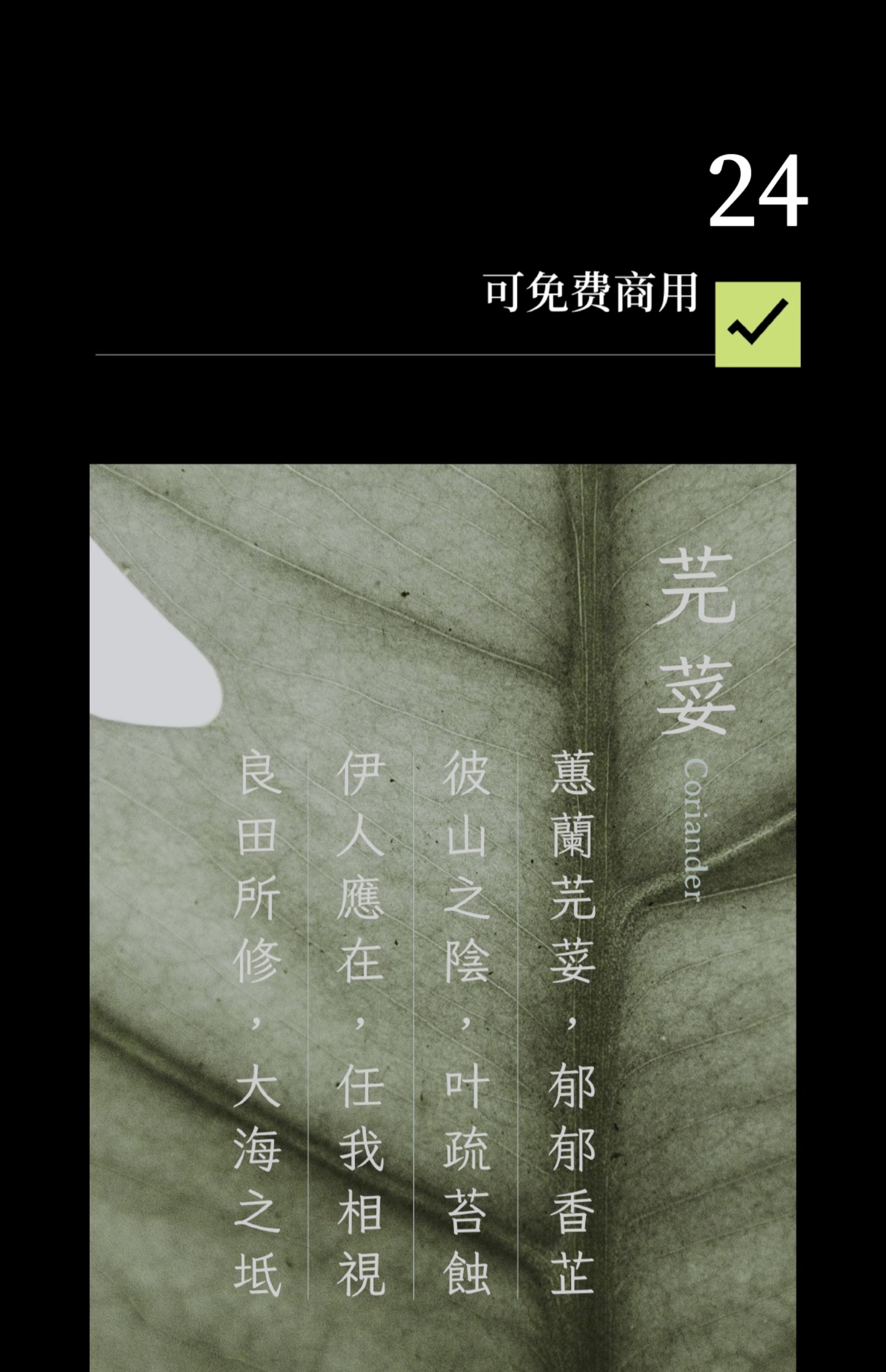 24个文艺古风宋体字体书籍展览海报排版视频剪辑中文字体（9803）图层云