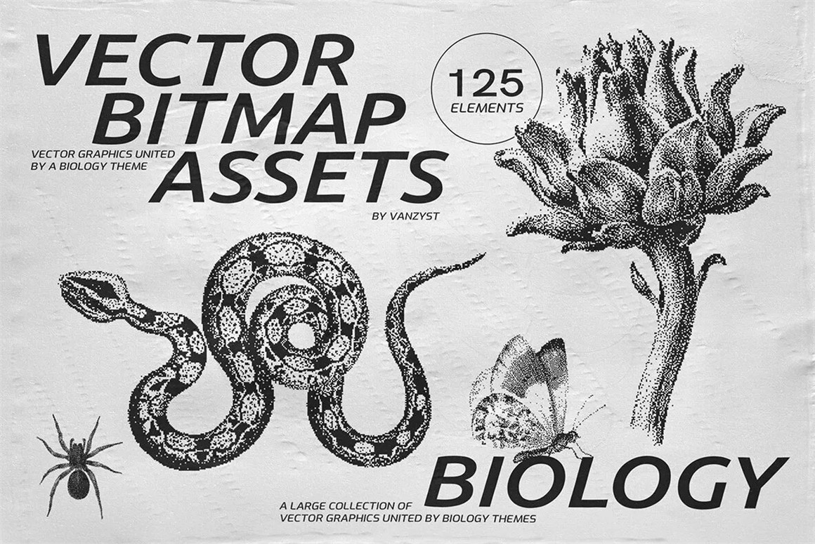125款复古生物学昆虫动物鸟类鱼类人体骨骼植物自然界像素位图AI矢量插画PNG免扣设计套装 125 Vector Bitmap Assets. Biology（9846）