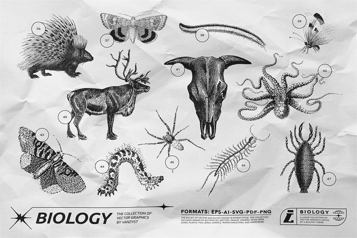 125款复古生物学昆虫动物鸟类鱼类人体骨骼植物自然界像素位图AI矢量插画PNG免扣设计套装 125 Vector Bitmap Assets. Biology（9846）图层云