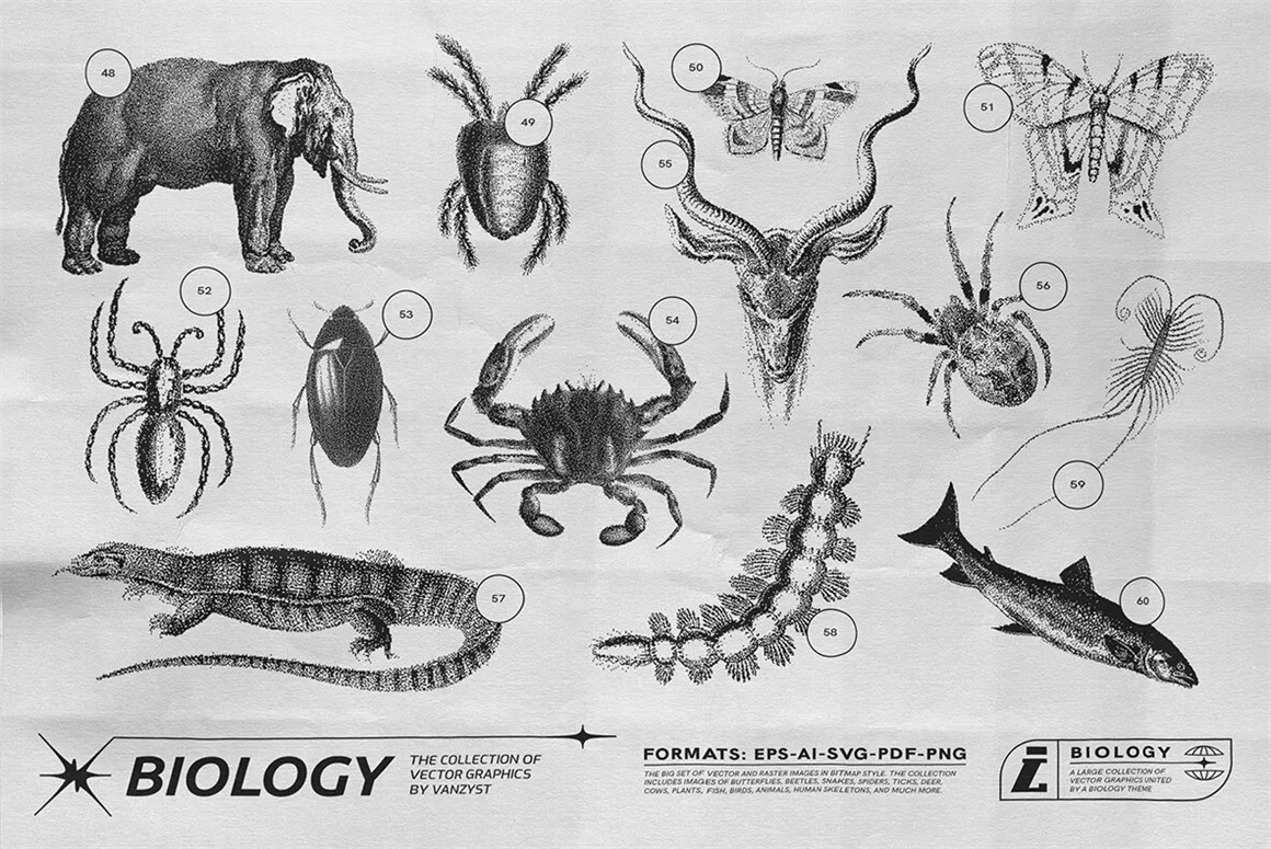 125款复古生物学昆虫动物鸟类鱼类人体骨骼植物自然界像素位图AI矢量插画PNG免扣设计套装 125 Vector Bitmap Assets. Biology（9846）图层云