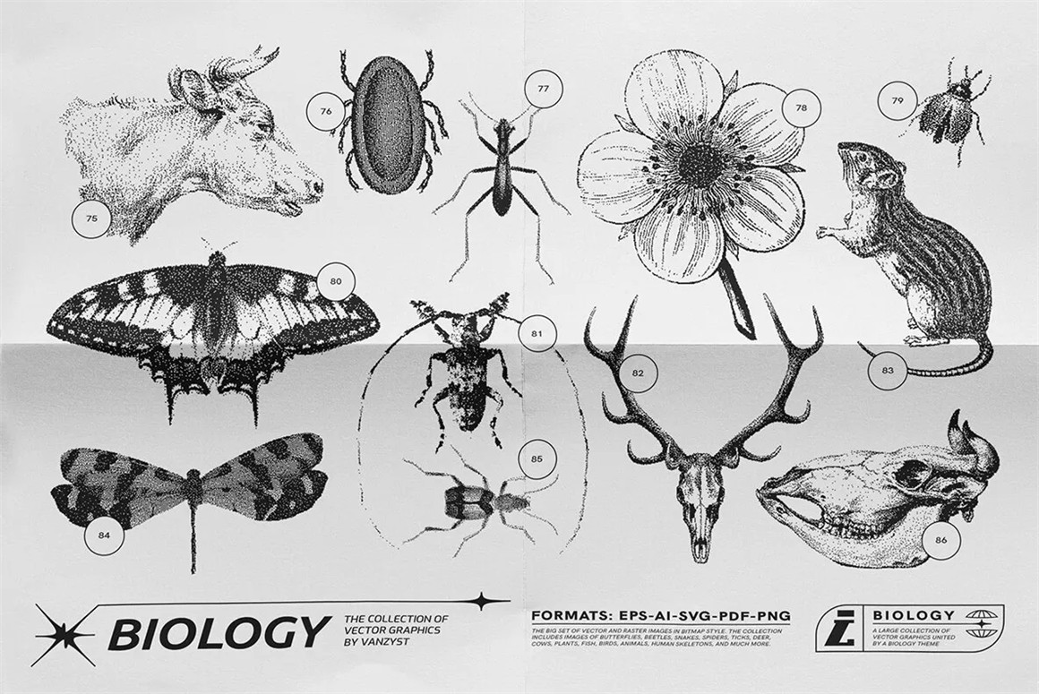 125款复古生物学昆虫动物鸟类鱼类人体骨骼植物自然界像素位图AI矢量插画PNG免扣设计套装 125 Vector Bitmap Assets. Biology（9846）图层云