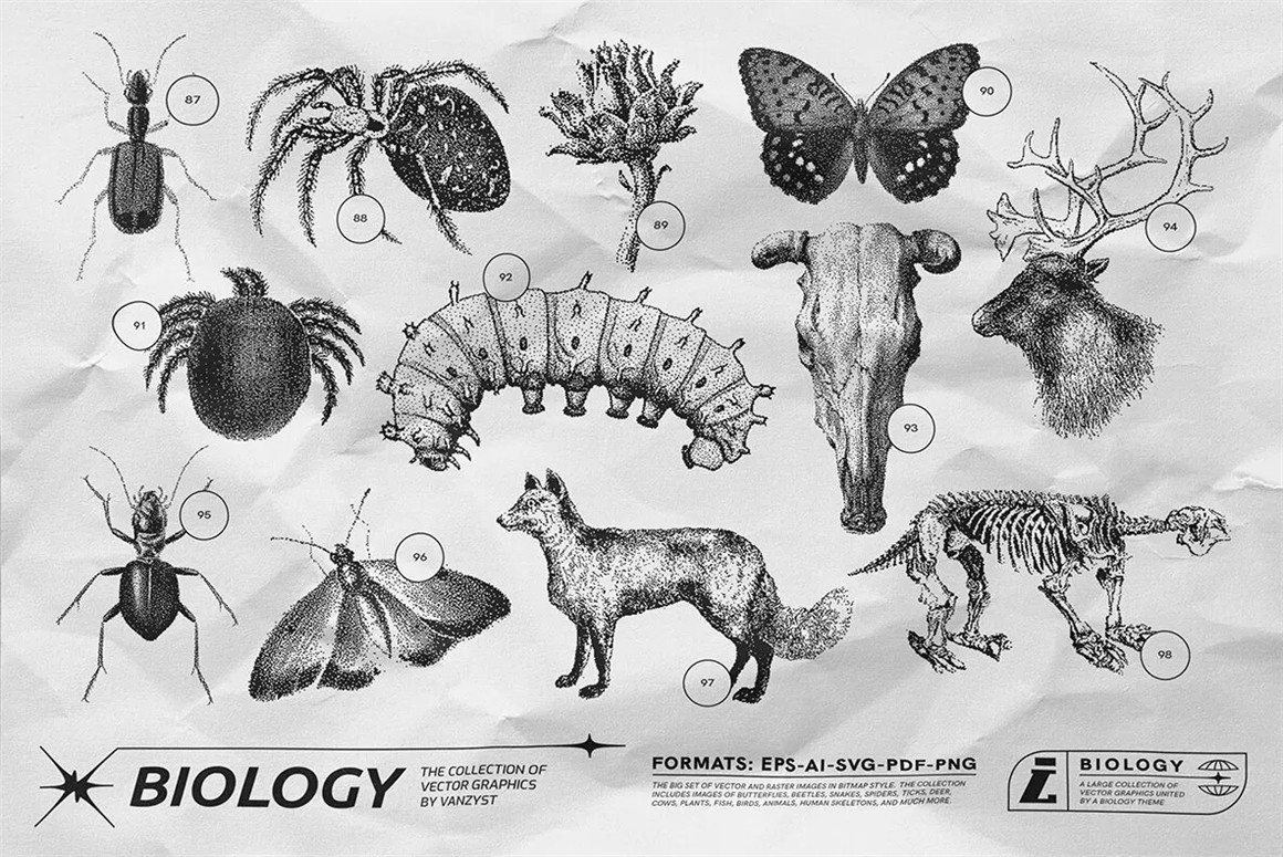 125款复古生物学昆虫动物鸟类鱼类人体骨骼植物自然界像素位图AI矢量插画PNG免扣设计套装 125 Vector Bitmap Assets. Biology（9846）图层云