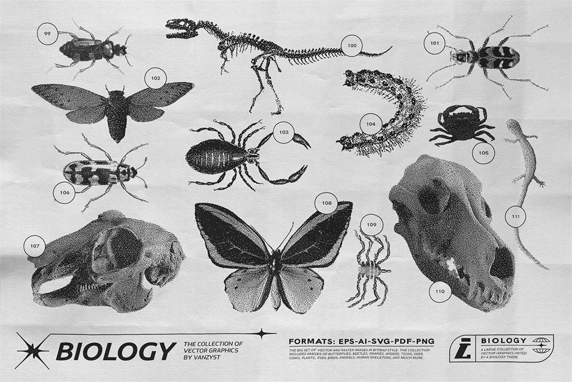 125款复古生物学昆虫动物鸟类鱼类人体骨骼植物自然界像素位图AI矢量插画PNG免扣设计套装 125 Vector Bitmap Assets. Biology（9846）图层云