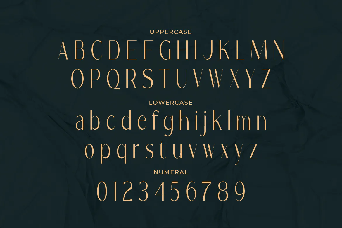 英文字体：优雅极简现代创意纤细排版标题衬线英文字体 Riesborck - Unique Slim Sans Typeface（9900）图层云