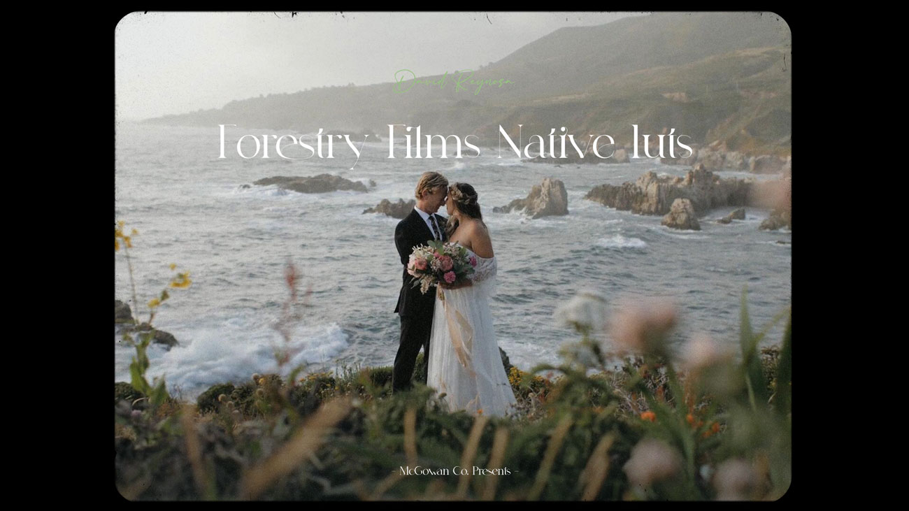 优雅浪漫唯美婚礼旅拍人像摄影色彩分级LUT预设 David Reynosa - Forestry Films Native luts（10000）