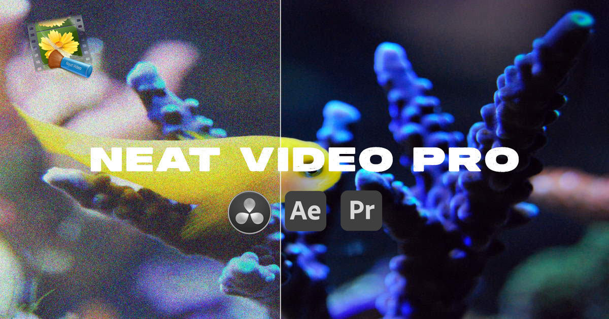 AE/PR/达芬奇插件：专业视频降噪插件Neat Video Pro 5.6.5 for Win（10182）图层云