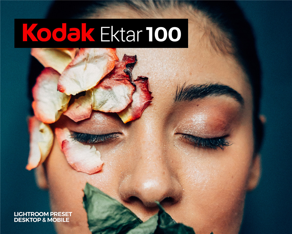 复古胶片美学柯达Ektar100细腻浓郁彩色负片摄影Lightroom调色预设（10194）