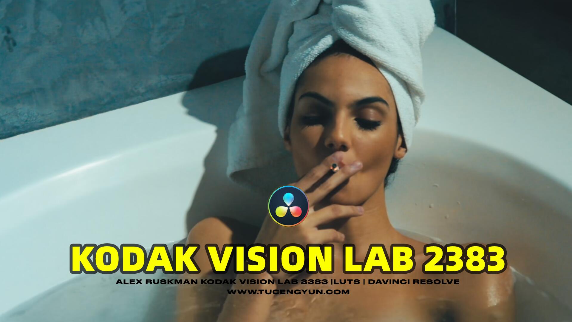 复古怀旧氛围柯达Vision 2383电影美学胶片模拟LUT调色预设 Kodak Vision 2383 LUTs Davinci Resolve（10254）图层云