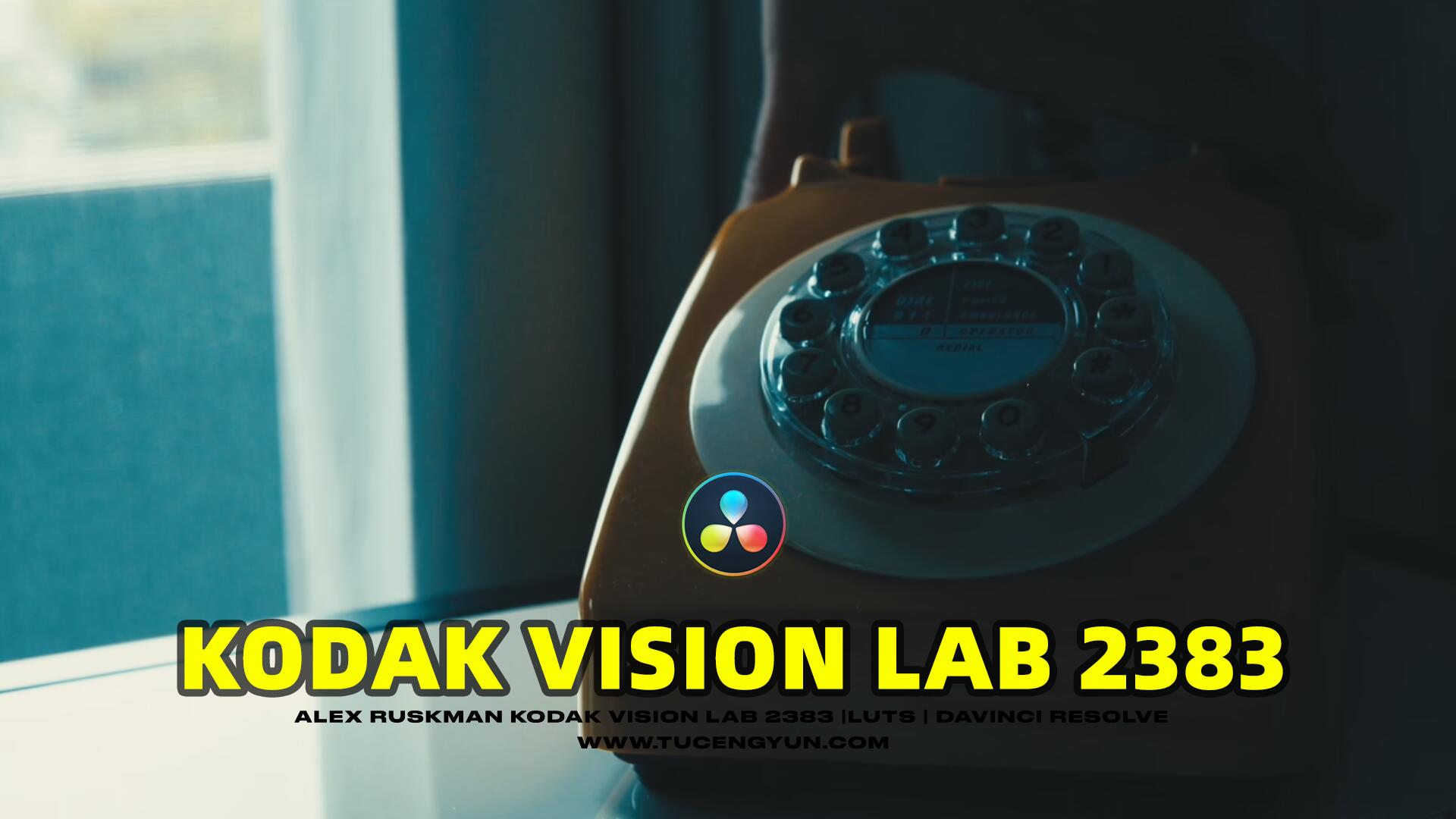 复古怀旧氛围柯达Vision 2383电影美学胶片模拟LUT调色预设 Kodak Vision 2383 LUTs Davinci Resolve（10254）图层云