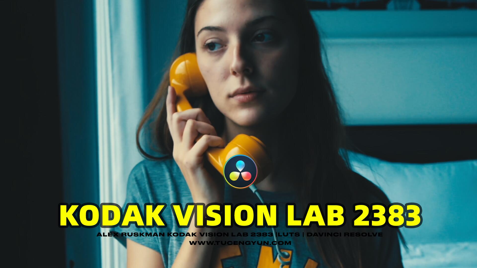 复古怀旧氛围柯达Vision 2383电影美学胶片模拟LUT调色预设 Kodak Vision 2383 LUTs Davinci Resolve（10254）图层云