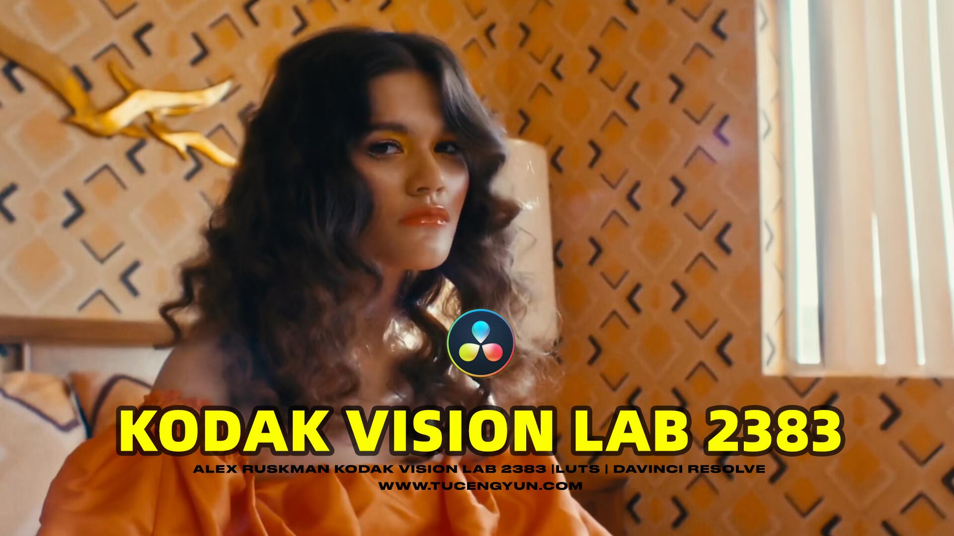 复古怀旧氛围柯达Vision 2383电影美学胶片模拟LUT调色预设 Kodak Vision 2383 LUTs Davinci Resolve（10254）图层云