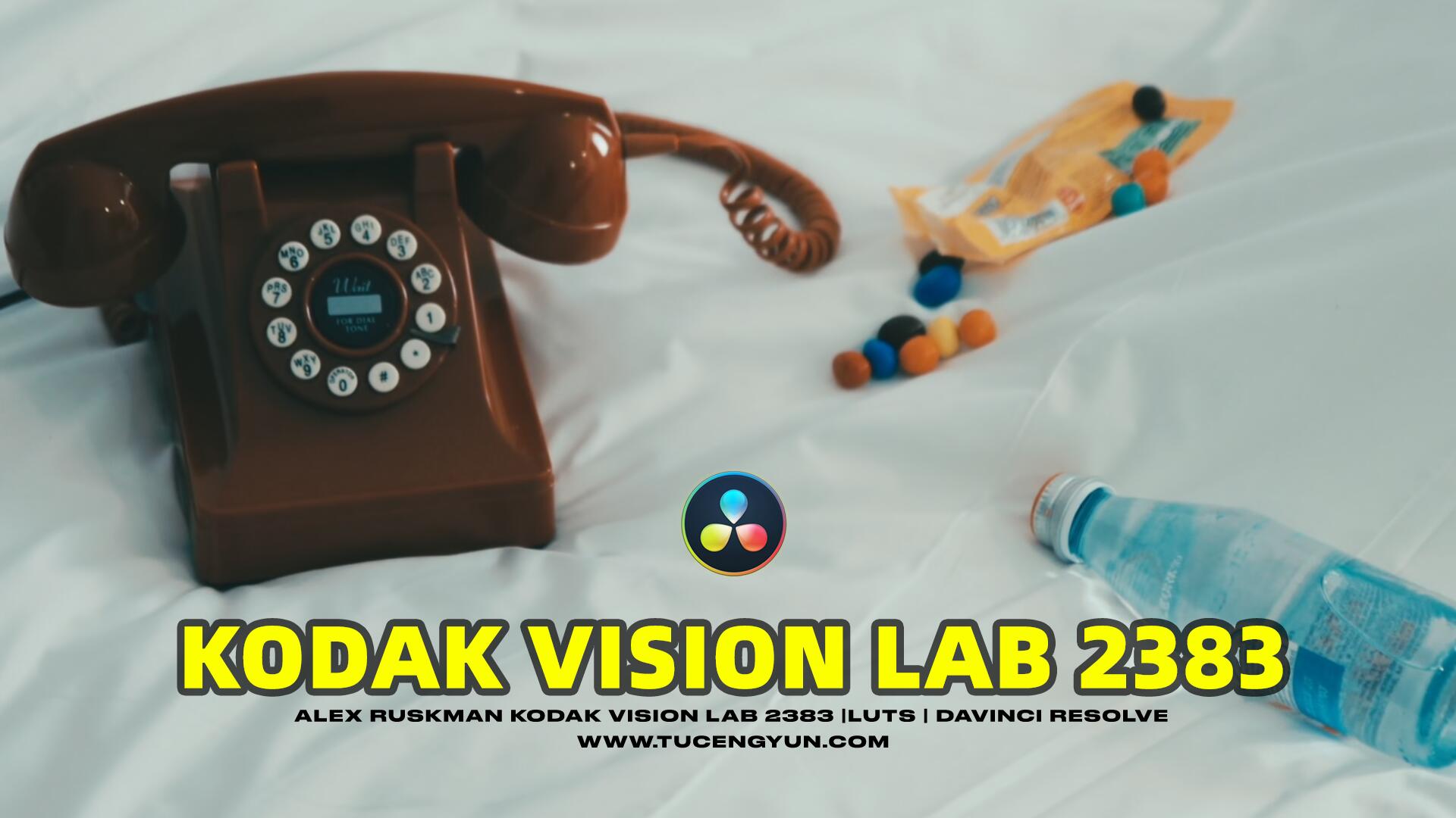 复古怀旧氛围柯达Vision 2383电影美学胶片模拟LUT调色预设 Kodak Vision 2383 LUTs Davinci Resolve（10254）图层云