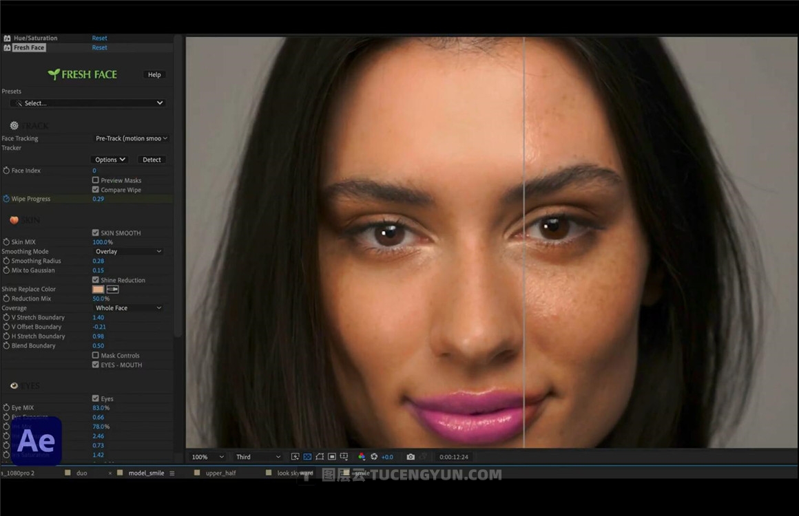 AE/PR/FCPX插件：人脸局部五官美化磨皮跟踪效果工具 Fresh Face（10937）图层云
