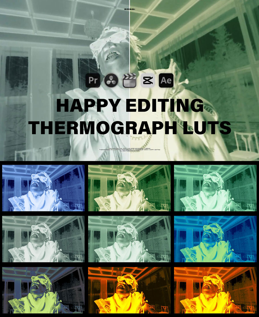 Happy Editing – THERMOGRAPH LUTS 12个嘻哈说唱风格抽象光谱红外热成像夜视绿靛蓝单色视觉源LUT调色预设包（11045）图层云