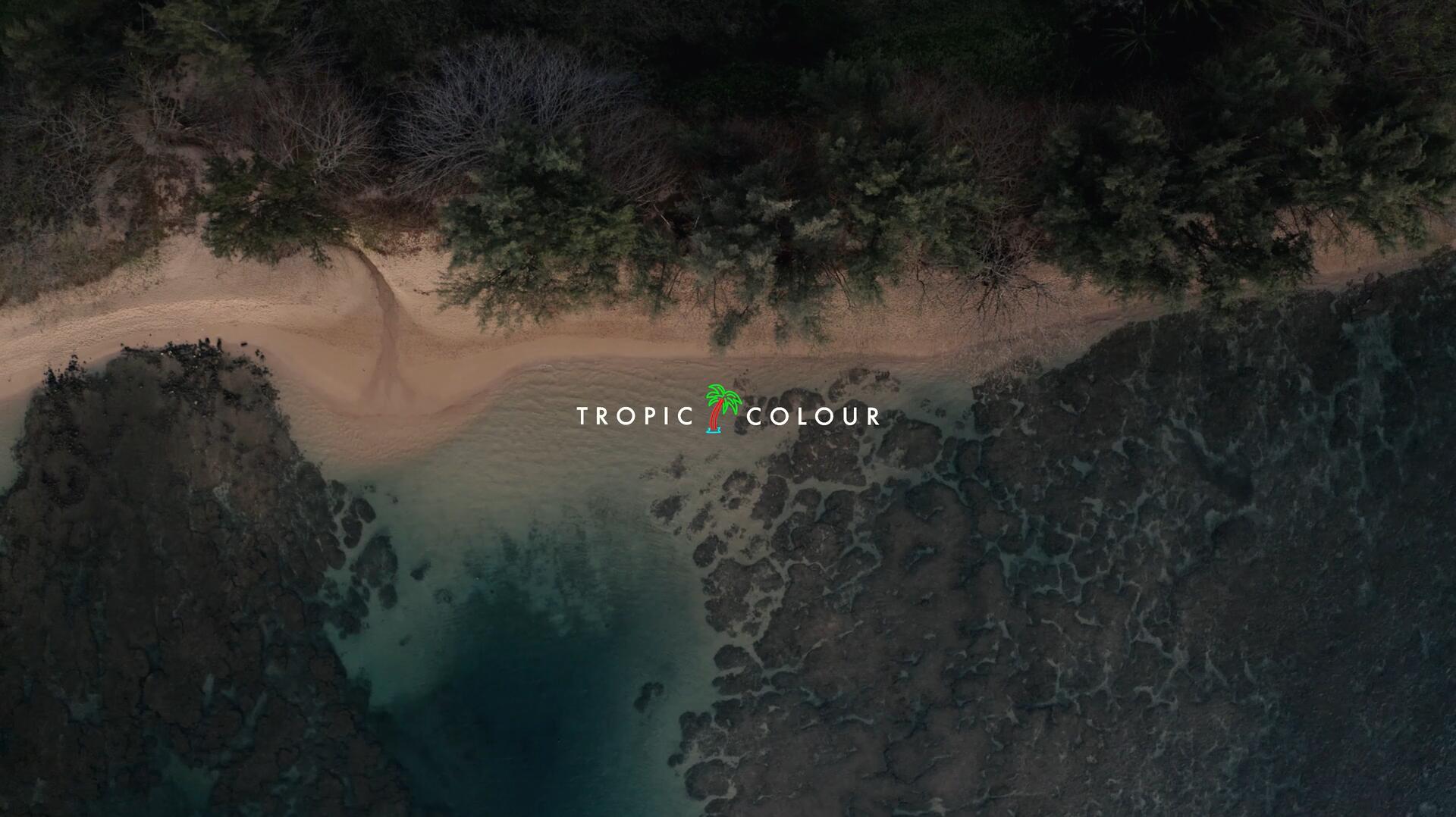 热带海滩航拍空中浪花后期剪辑调色4K灰片素材片段 Tropic Colour Beaches Aerial Stock（11841）图层云