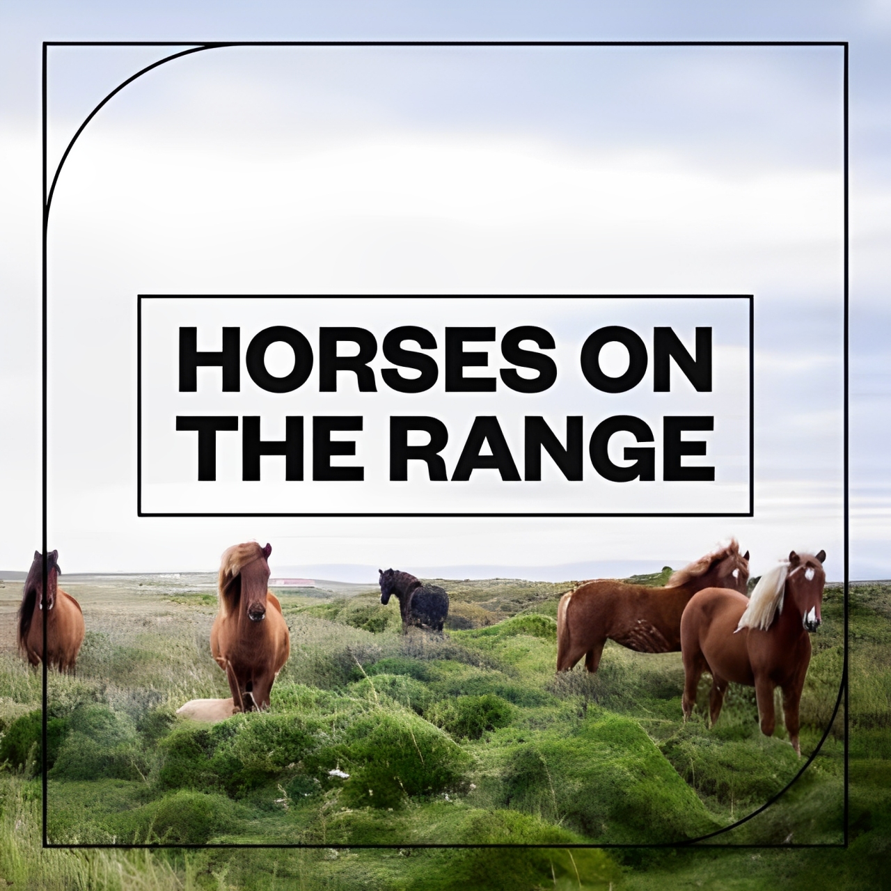音效：骏马奔跑嘶叫、呼吸、奔跑、声音效果素材 Blastwave FX Horses on the Range（12207）