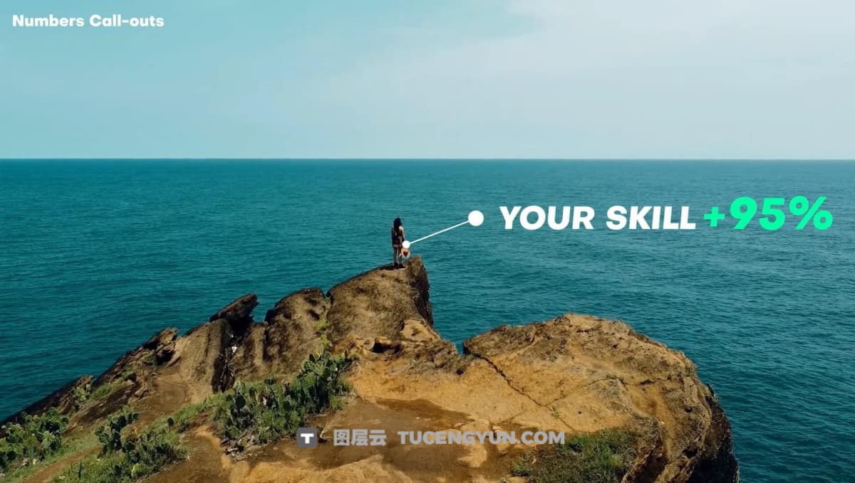 AE/PR/FCPX/达芬奇模板：简约呼出式线条标注文字数字属性参数动画模板 带定位跟踪（12272）图层云