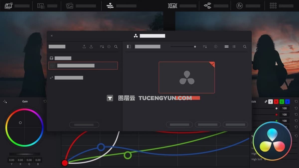 大师课程：热门达芬奇色彩校正指南视频课程 中文字幕 Domestika – Introduction to DaVinci Resolve for Color Correction（12306）图层云